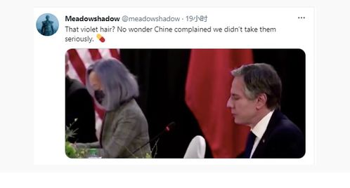 被吐槽的 紫发女 竟是美国总统首席翻译 但权威人士说她水平并不糟 