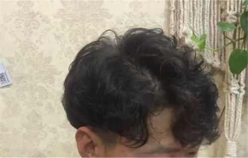 纹理烫和蝴蝶烫有什么不同？