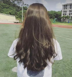 一瓶洗发水挑起了日本秀发界的大梁,樱花少女都在用