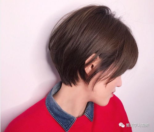 剪短发什么发型好看呢？我想把头发剪短了 但是又怕不好看？(剪短头发那个发