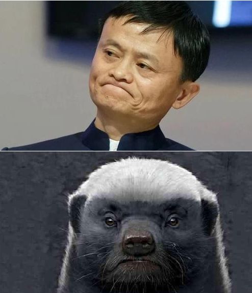 什么叫平头- -！