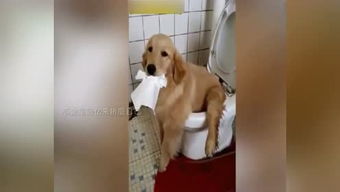 白衣苍狗的个人频道
