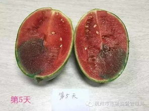 西瓜红又甜,是因为打了色素和甜味剂 戳开图文看真相