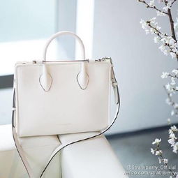有哪些适合20几岁女性1000 3000元的轻奢女包